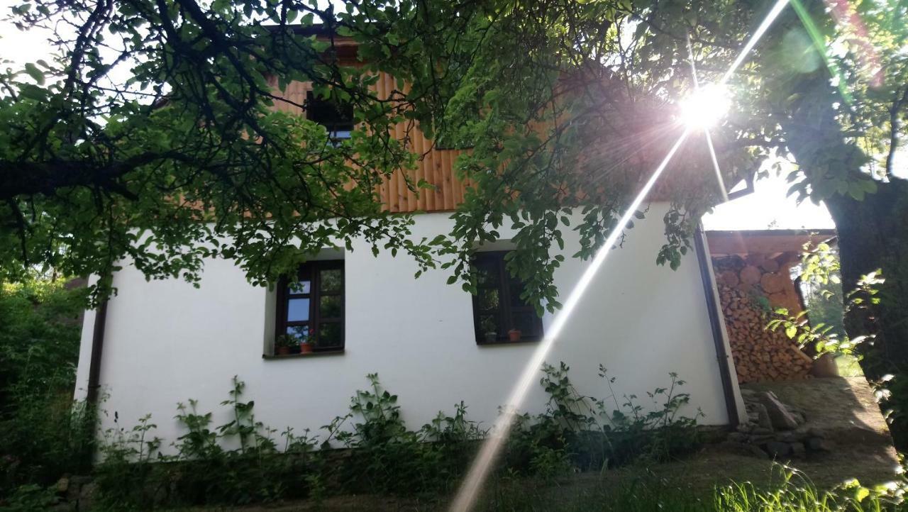 Forest Rustic Apartment Brdy Vesin Buitenkant foto